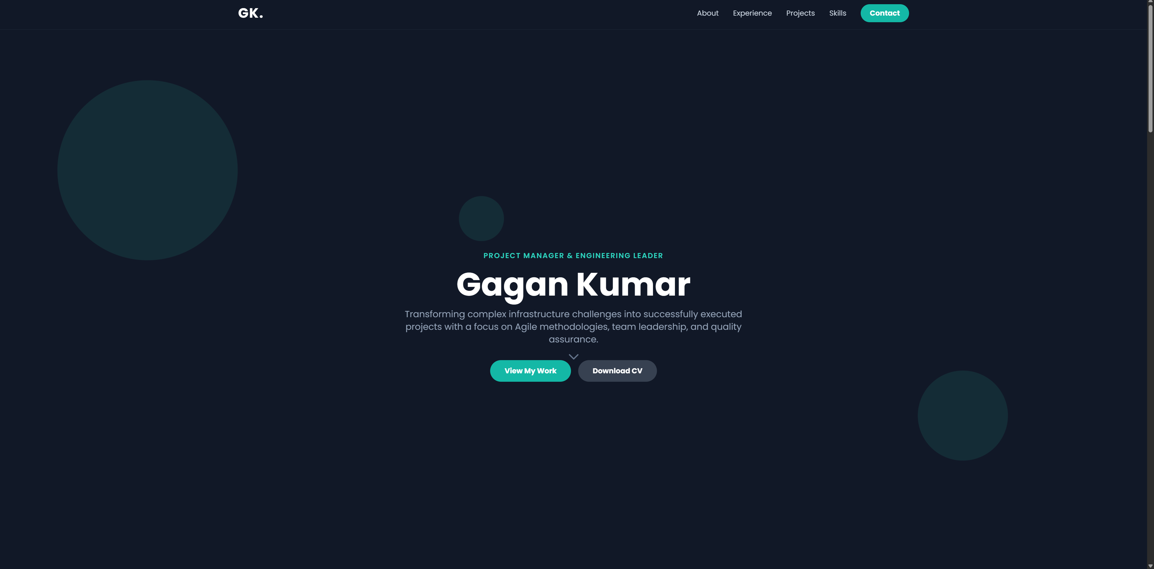 Portfolio website preview for Gagan with detailed project case studies